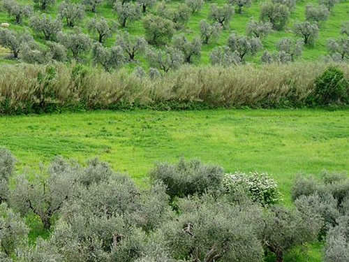 Pasqua in Maremma