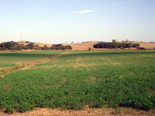 Pasqua in Valdichiana