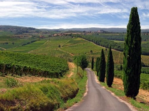 treni aerei autobus toscana pasqua foto