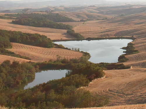 siena crete senesi pasqua foto